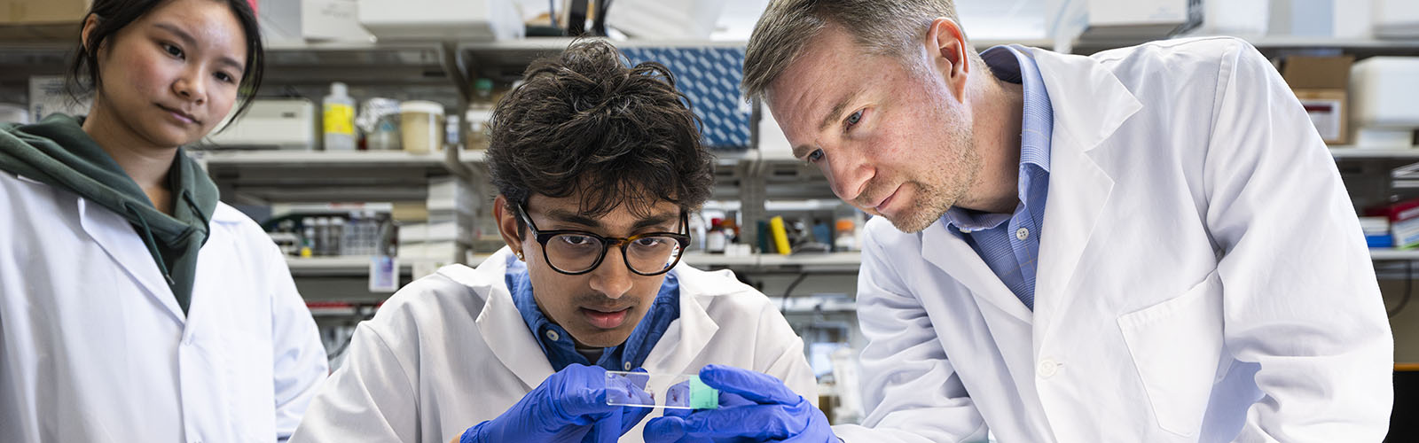 Two students and their faculty mentor wearing white lab coats looking at a glass microscope slide at a bench in a laboratory. 