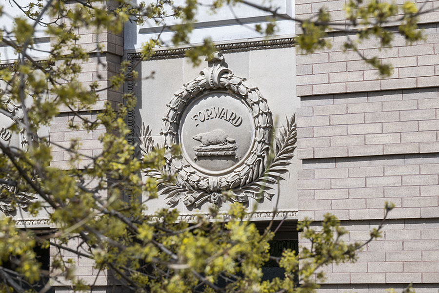 A flowering tree frames the stone "Forward" badger crest on the side of a building on UW campus. 